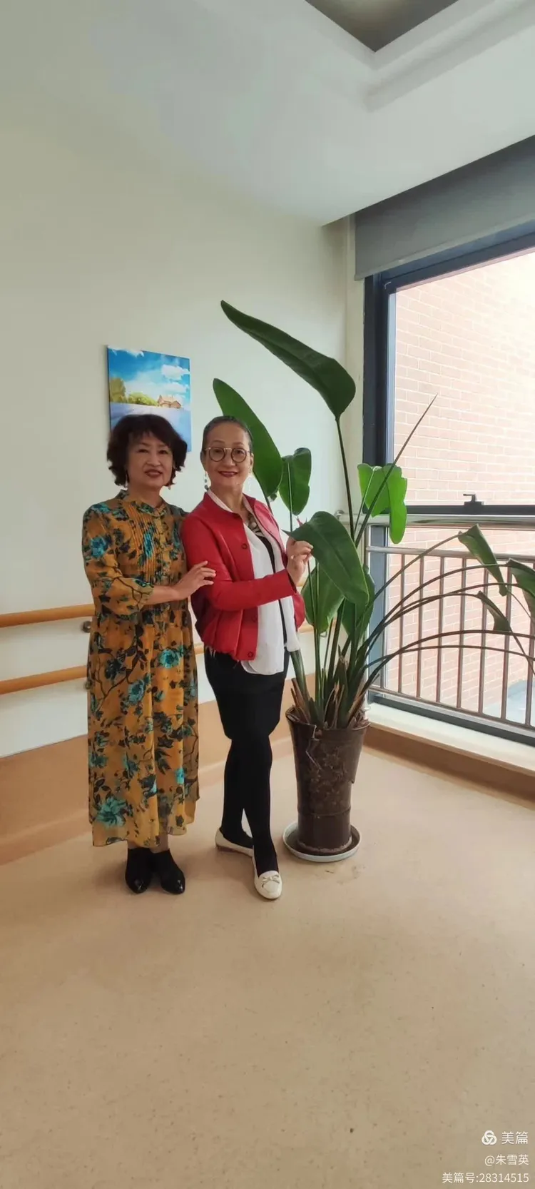 体验乐龄公寓养老院